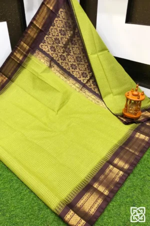 Apple Green with Coffee Brown Jacquard Border – Pure Handloom Cico Gadwal Saree