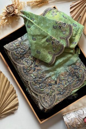 Mint green designer saree with heavy embroidered scalloped border and blouse